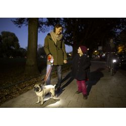 Lampe torche LED