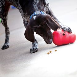 KONG WOBBLER SM