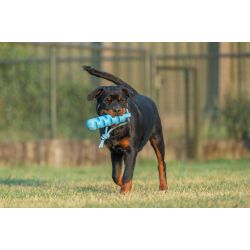 JV PLAYSCENT Dummy Bacon-24cm