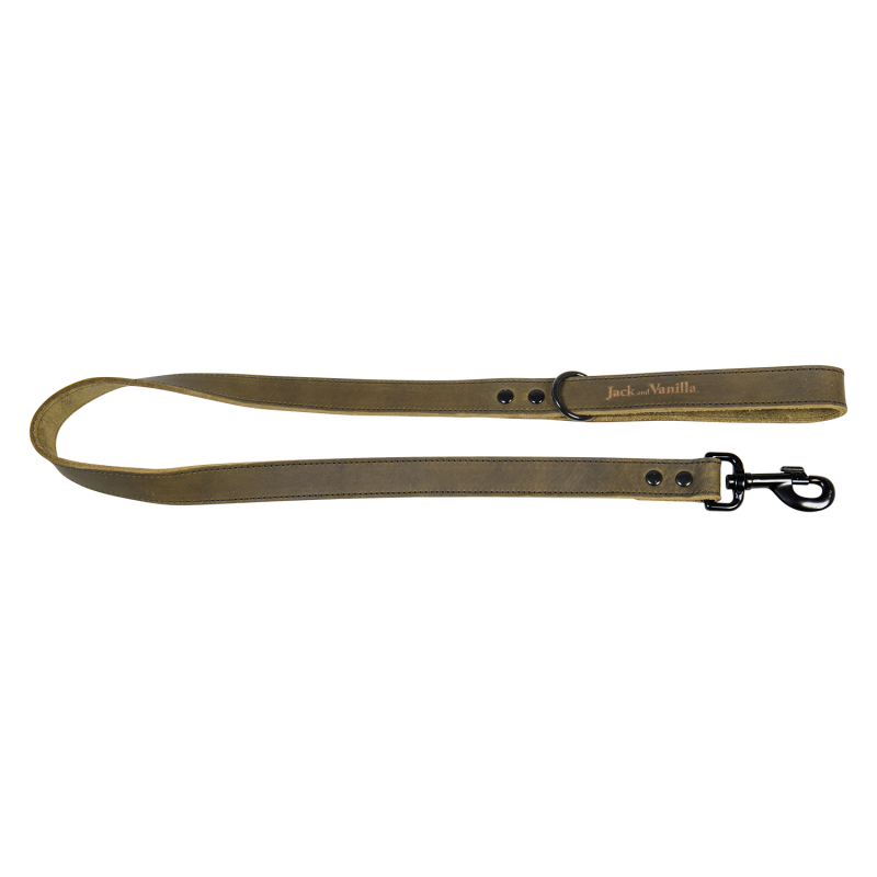 JV BLACK LABEL Laisse Vert-25mmx100cm