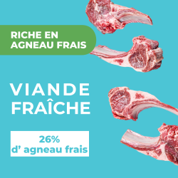 DAFF OPTIMALE CHIEN LARGE Agneau 12 Kg