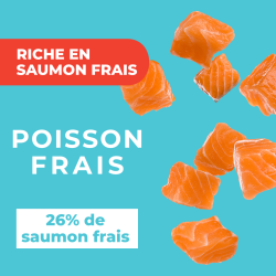 DAFF OPTIMALE CHIEN LARGE Saumon 3 Kg
