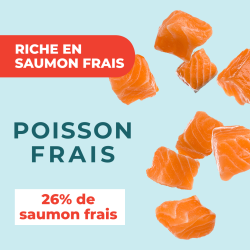 DAFF OPTIMALE EXPERT TOUTES RACES HYPOALLERGENIQUE Saumon 12KG