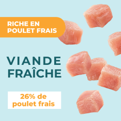 DAFF OPTIMALE EXPERT TOUTES RACES ARTICULAIRE Poulet 12KG