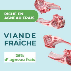 DAFF OPTIMALE EXPERT TOUTES RACES DIGESTION Agneau 3KG