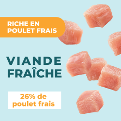 DAFF OPTIMALE CHAT STERILISE POULET 2KG