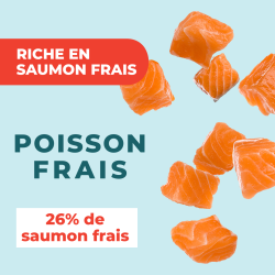 DAFF OPTIMALE CHAT STERILISE SAUMON 2KG