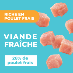 DAFF OPTIMALE CHAT HAUTE APPETENCE 5KG