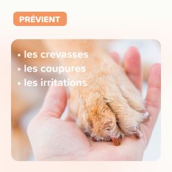Baume coussinets Chiens - 40 ml