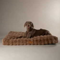 Scruffs Alpine Mattress (L) 100 x 70cm Taupe