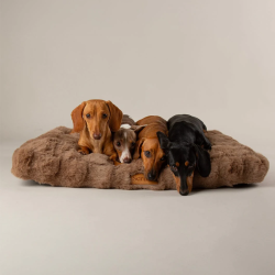 Scruffs Alpine Mattress (L) 100 x 70cm Taupe