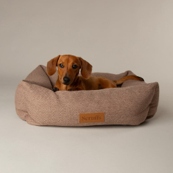 Scruffs Seattle Box Bed (XL) Sienna Brown