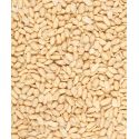 Cacahuetes sans peau 1Kg