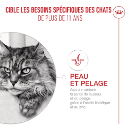 ROYAL CANIN AGEING11+ SAUCE 12x85gr