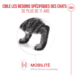 ROYAL CANIN AGEING11+ GELEE