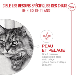 ROYAL CANIN AGEING11+ GELEE