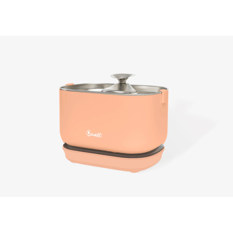 FONTAINE A EAU SANS FIL PECHE BANDIT