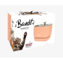 FONTAINE A EAU PECHE BANDIT