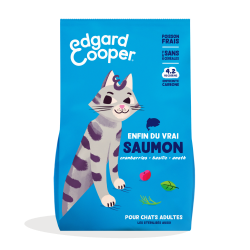 CHAT ADULTE CROQUETTES...