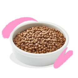 CHATON CROQUETTES CANARD/POULET 2 KG
