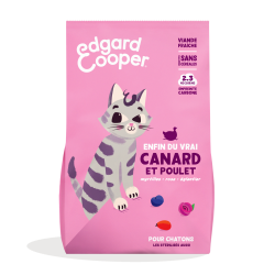 CHATON CROQUETTES...