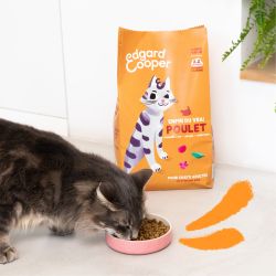 CHAT ADULTE CROQUETTES POULET 4 KG