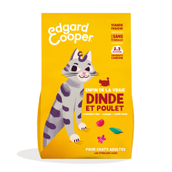 CHAT ADULTE CROQUETTES...
