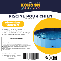 PISCINE CHIEN 120x30cm