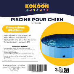 PISCINE CHIEN 80x20cm