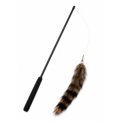 Canne à pêche raton laveur