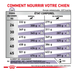 Royal Canin Neutered Adult Grand Chien Stérilisé — Croquettes 12 kg