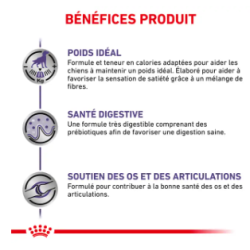 Royal Canin Neutered Adult Grand Chien Stérilisé — Croquettes 12 kg