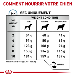 Royal Canin Hypoallergenic Petit Chien — Croquettes 3,5 kg