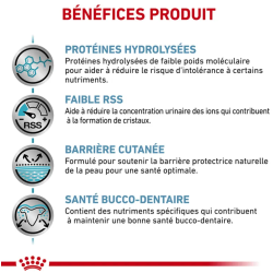Royal Canin Hypoallergenic Petit Chien — Croquettes 3,5 kg
