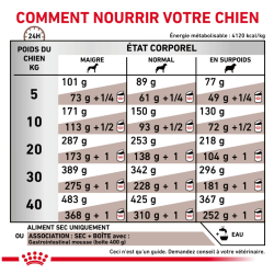 Royal Canin Gastro Intestinal Chien — Croquettes 15 kg