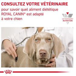 Royal Canin Gastro Intestinal Chien — Croquettes 15 kg