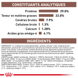 Royal Canin Gastro Intestinal Chien — Croquettes 15 kg
