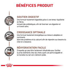 Royal Canin Gastro Intestinal Chien — Croquettes 15 kg