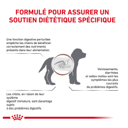 Royal Canin Gastro Intestinal Chien — Croquettes 15 kg