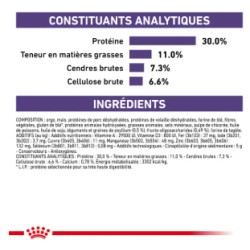 Royal Canin Neutered Adult Petit Chien Stérilisé — Croquettes 3,5 kg