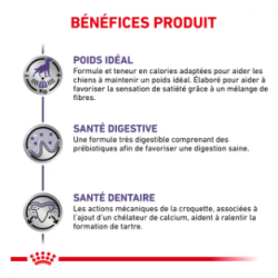 Royal Canin Neutered Adult Petit Chien Stérilisé — Croquettes 3,5 kg