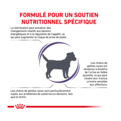 Royal Canin Neutered Adult Petit Chien Stérilisé — Croquettes 3,5 kg