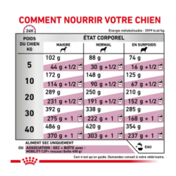 Royal Canin Mobility Support Chien — Croquettes 12 kg