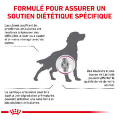 Royal Canin Mobility Support Chien — Croquettes 12 kg