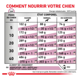 Royal Canin Mobility Support Chien — Croquettes 2 kg