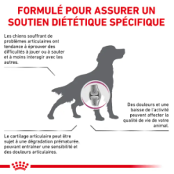 Royal Canin Mobility Support Chien — Croquettes 2 kg