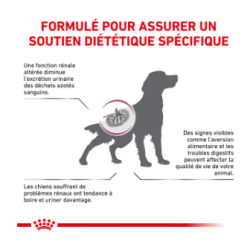 Royal Canin Renal Chien — Croquettes 2 kg
