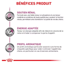 Royal Canin Renal Chien — Croquettes 2 kg