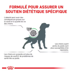 Royal Canin Satiety Weight Management Chien — Croquettes 12 kg