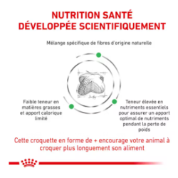 Royal Canin Satiety Weight Management Chien — Croquettes 12 kg